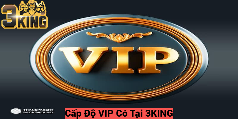 Cấp Độ VIP Có Tại 3KING