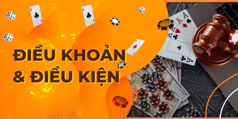 Thông tin khái quát về khái niệm điều khoản và điều kiện