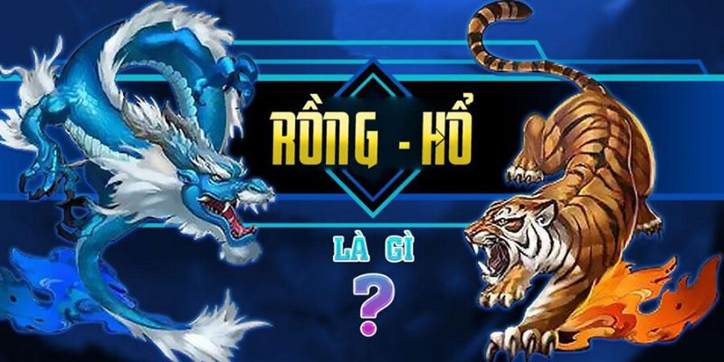 Tìm hiểu đôi ý về tựa game rồng hổ